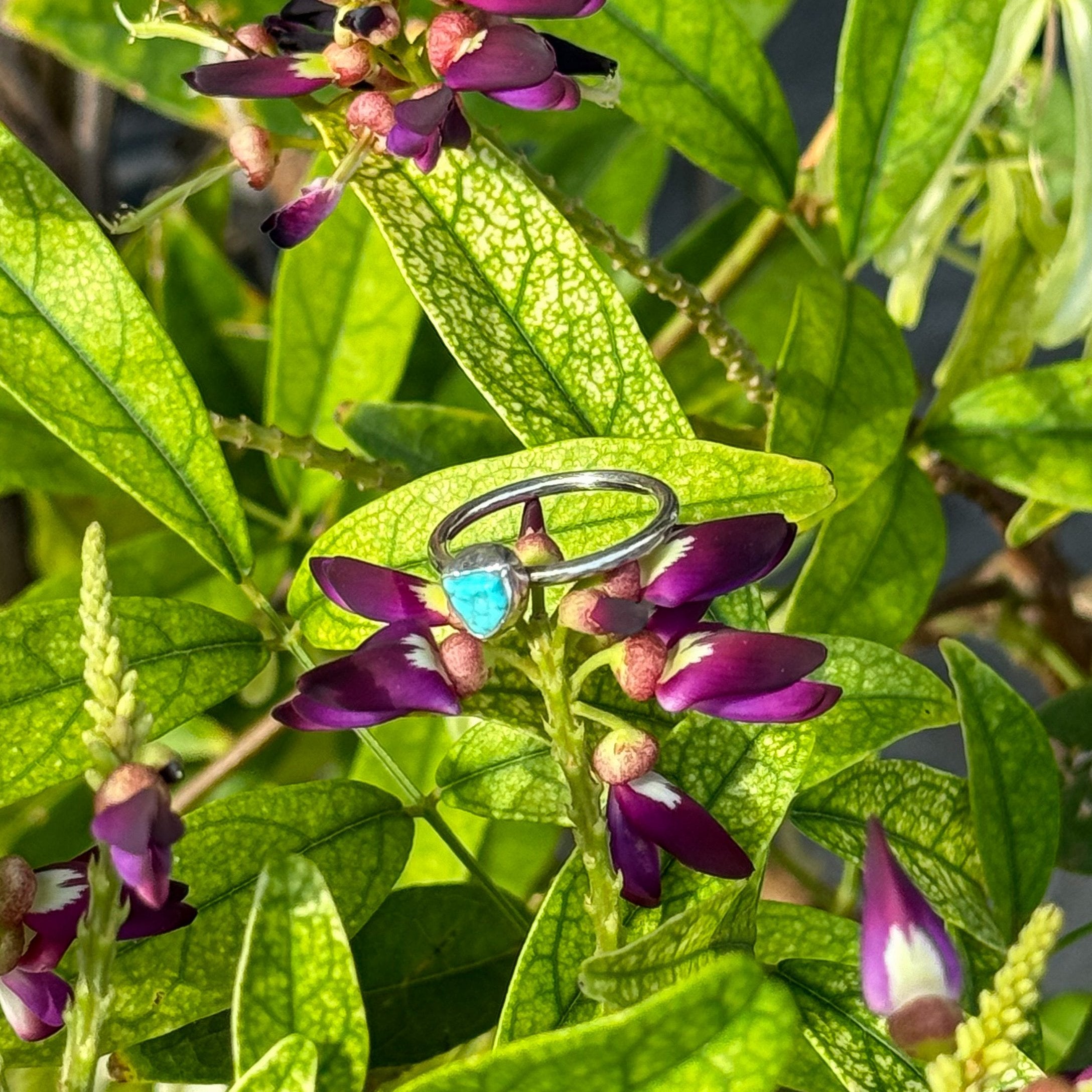 Freeform Turquoise Ring in Sterling Silver