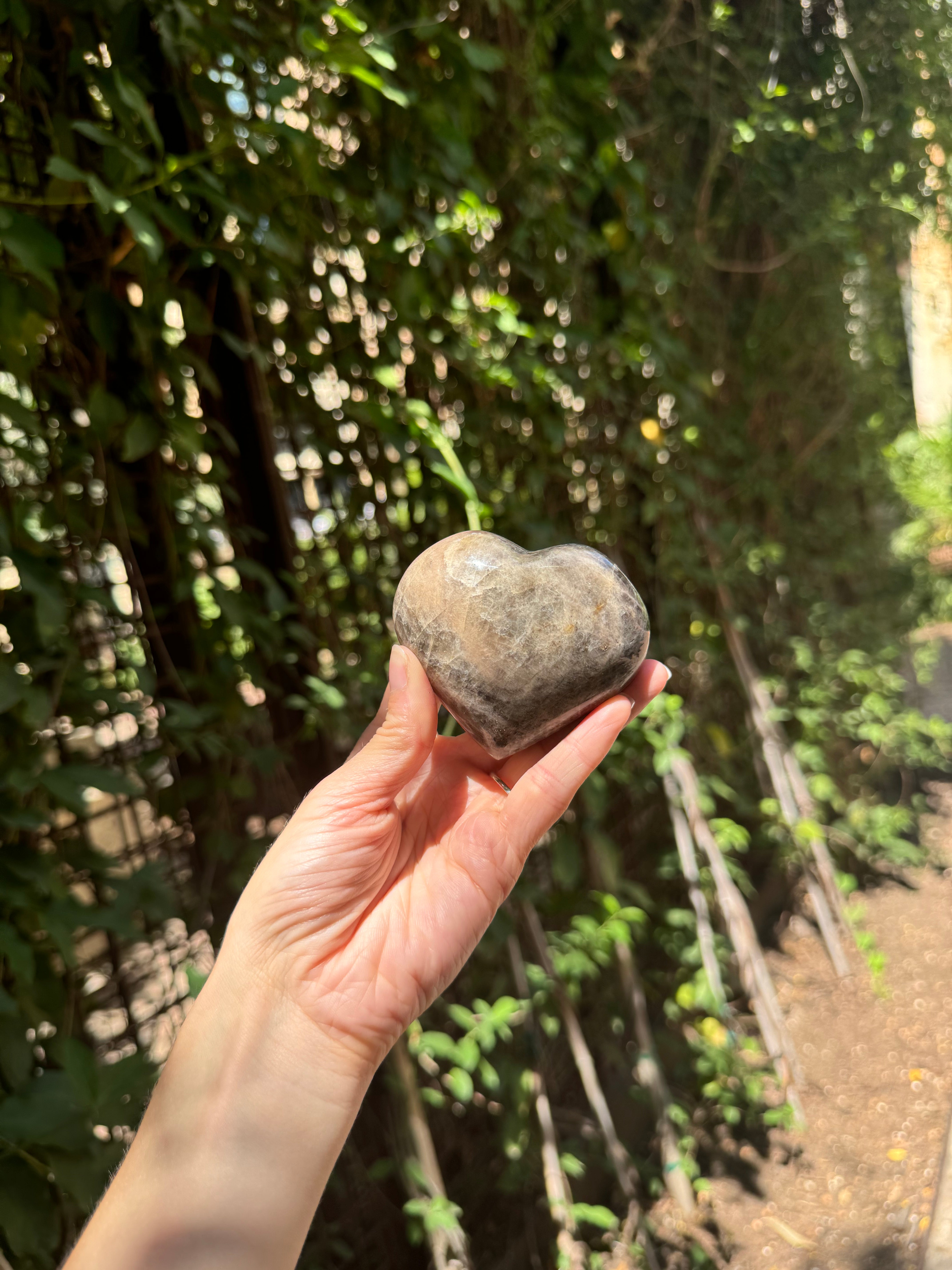 Black Moonstone Heart Carved Crystal