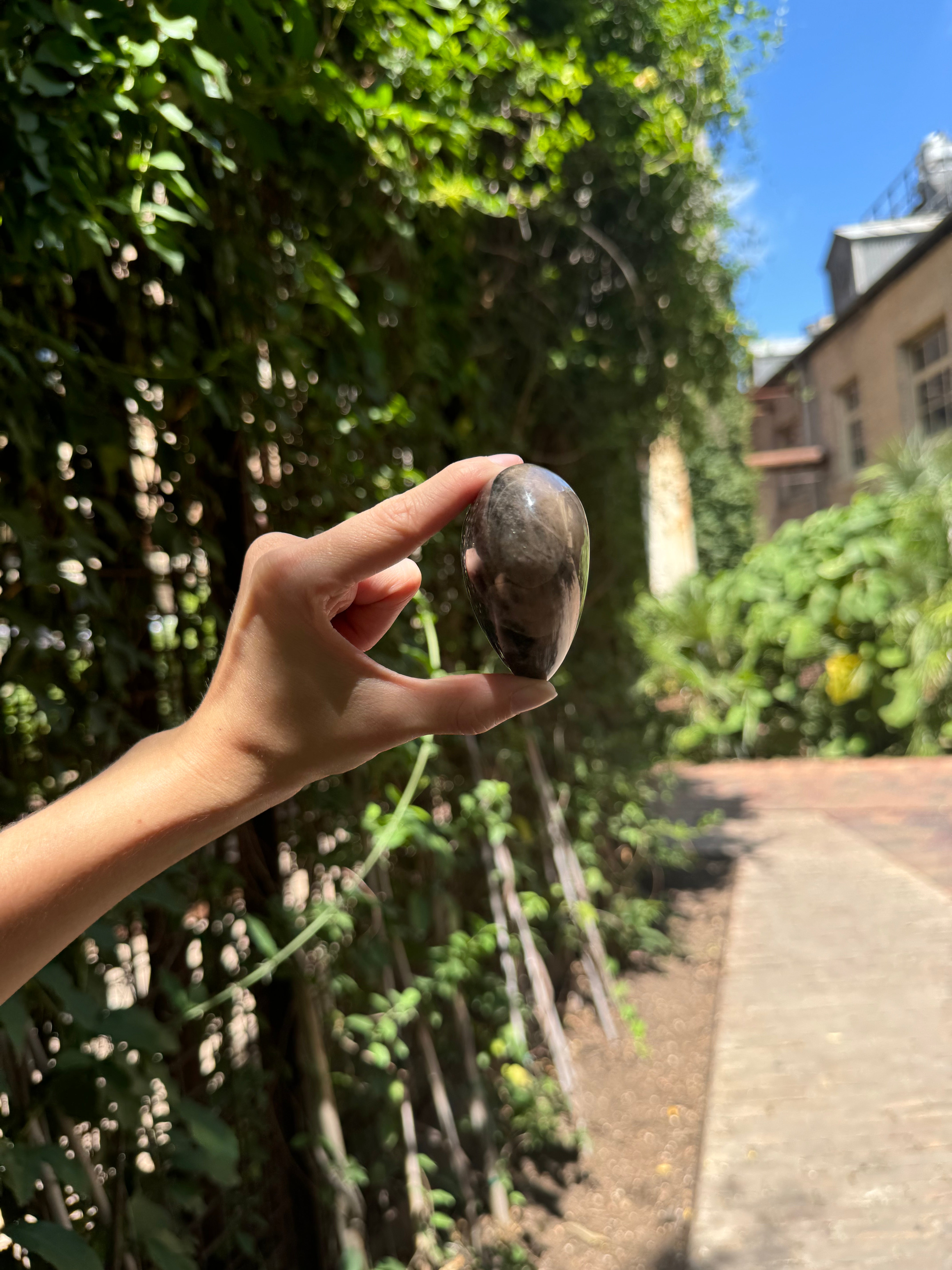 Black Moonstone Heart Carved Crystal