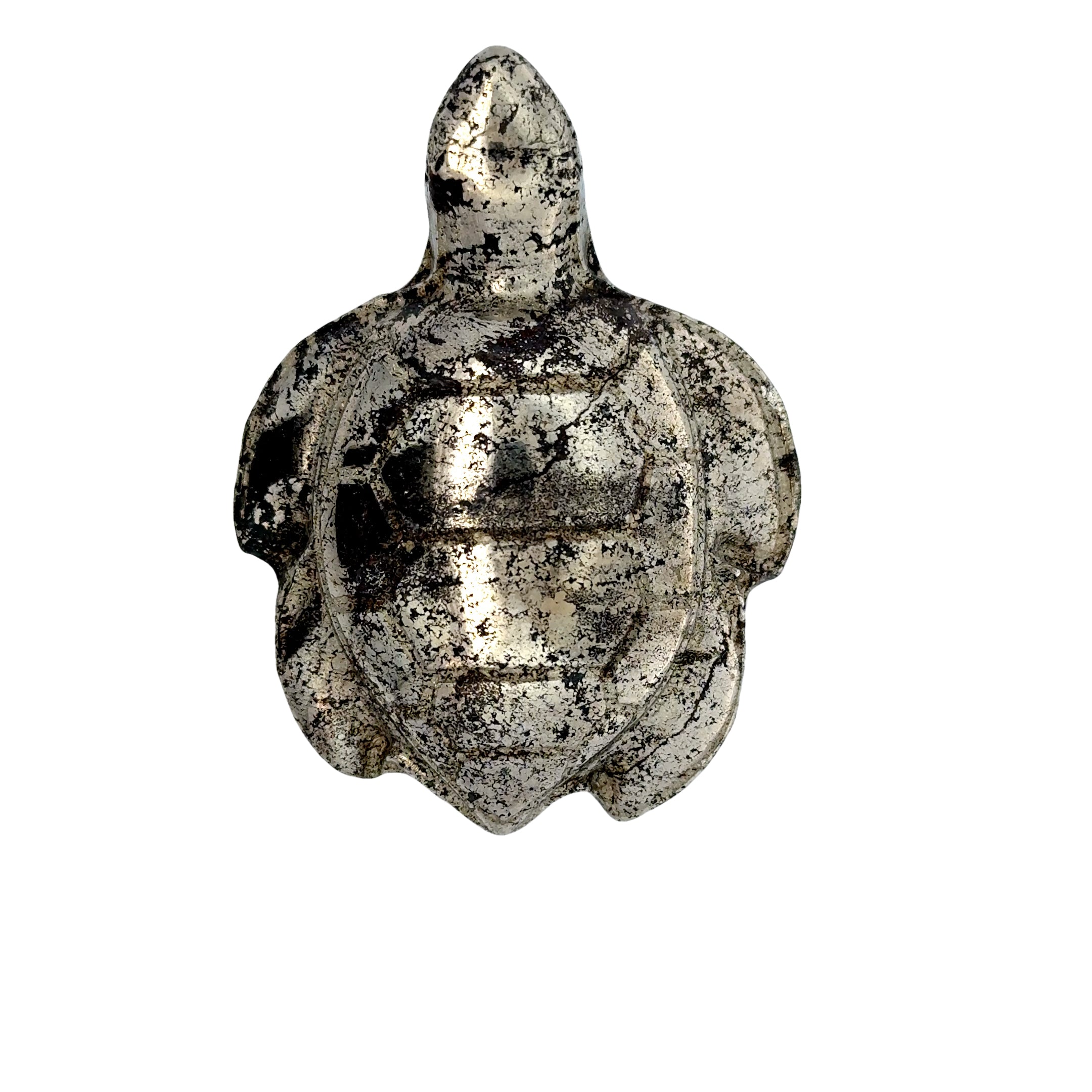 Pyrite Turtle