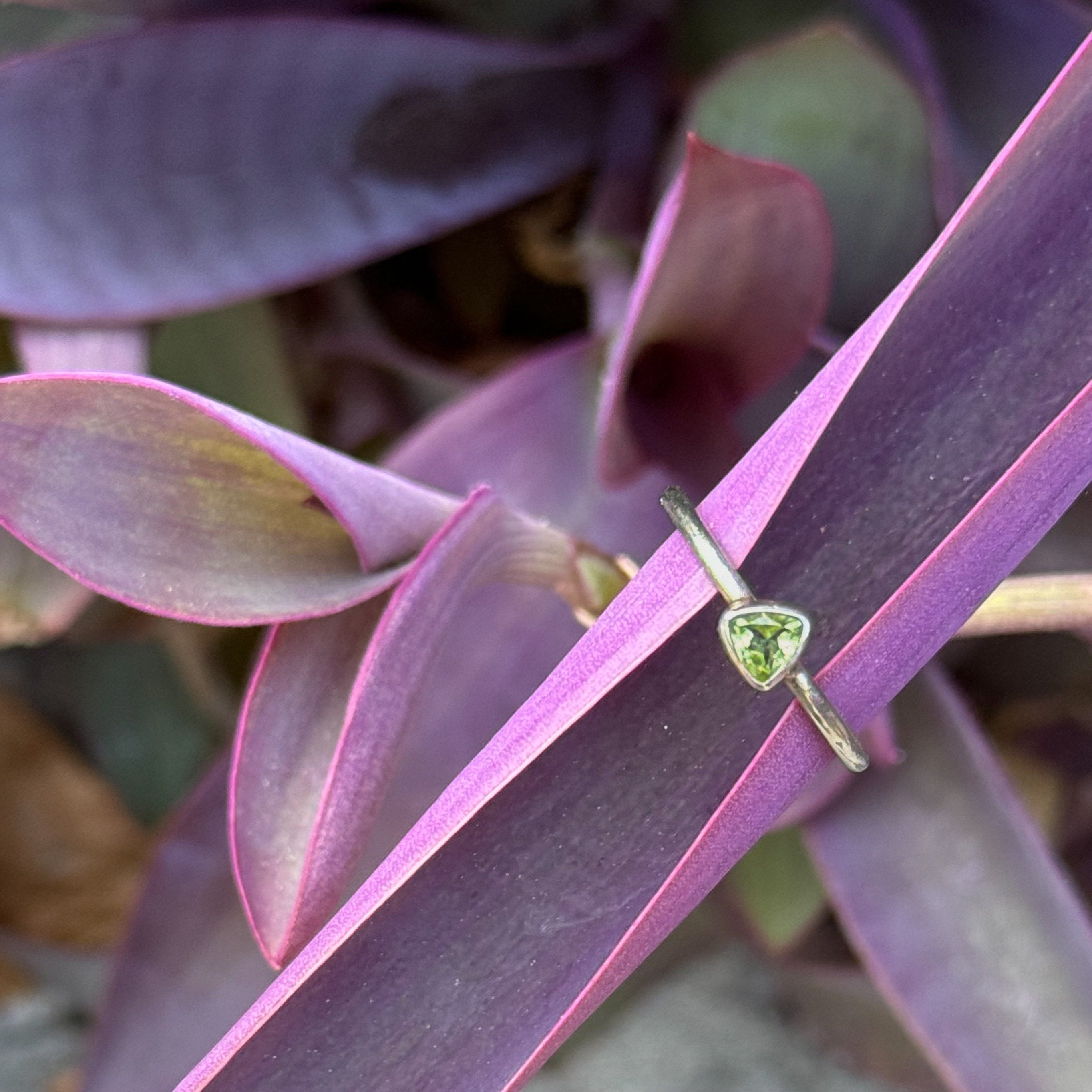 Trillion Cut Peridot Ring in Sterling Silver