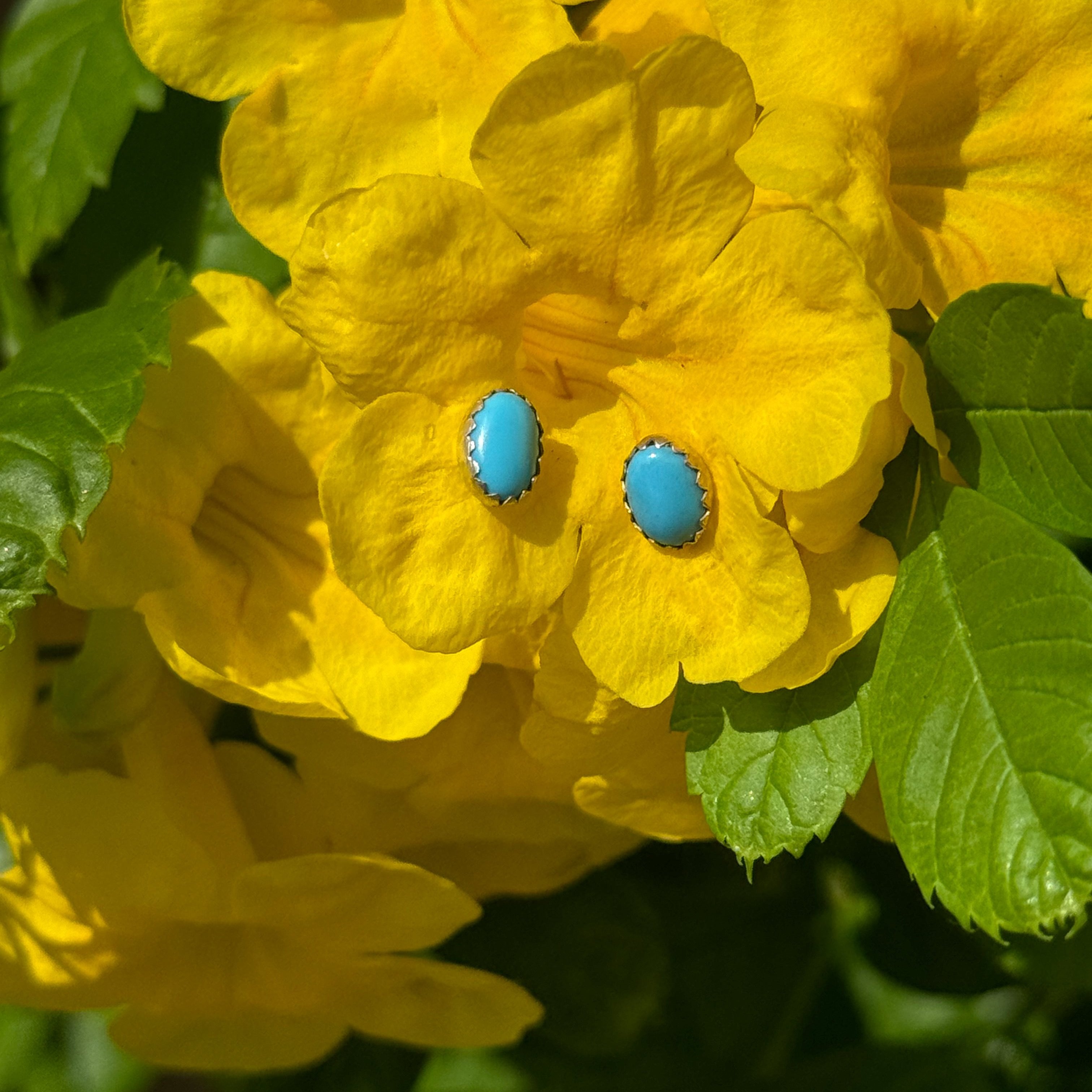 Oval Cut Turquoise Stud Earrings in Sterling Silver