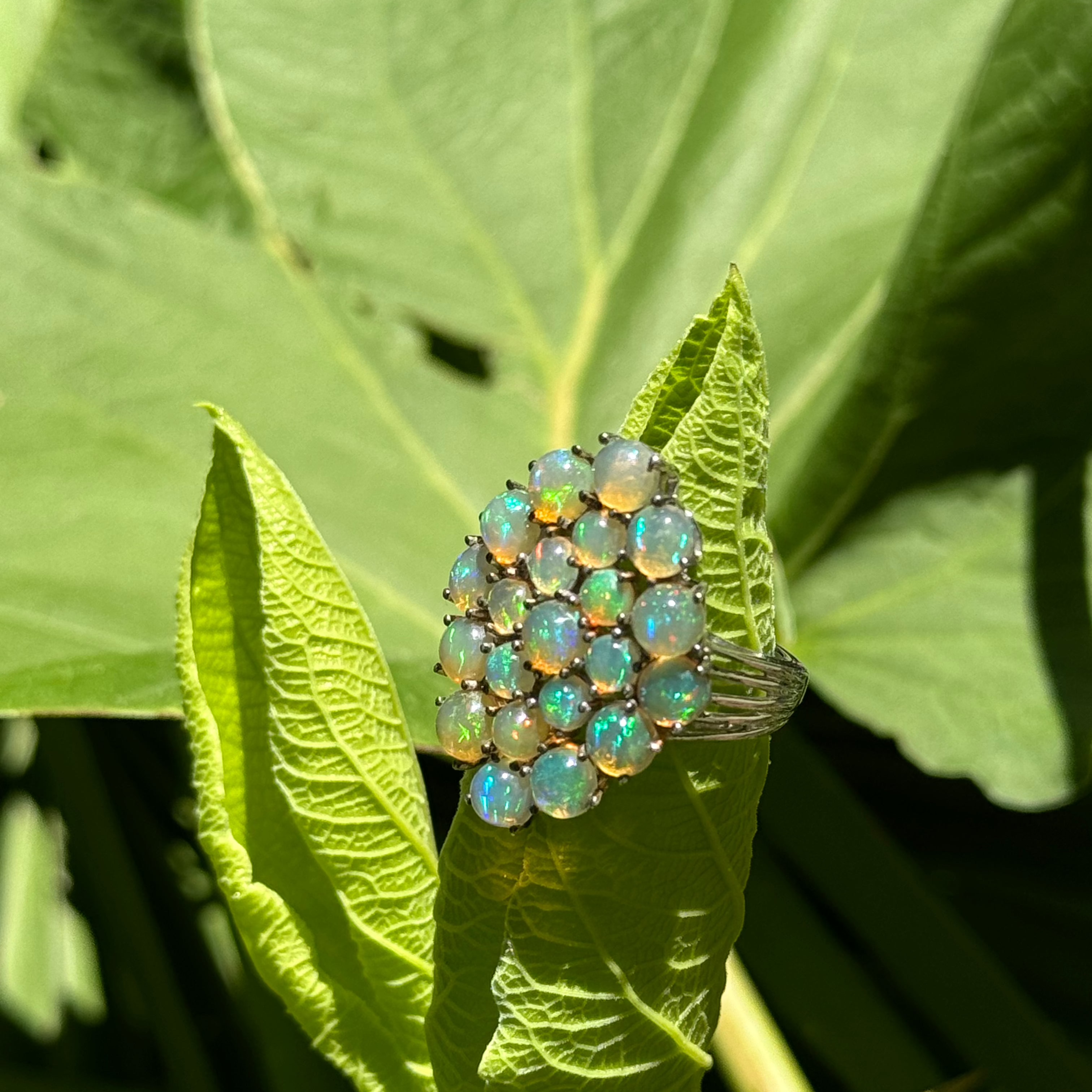 Ethiopian Opal Ring in Sterling