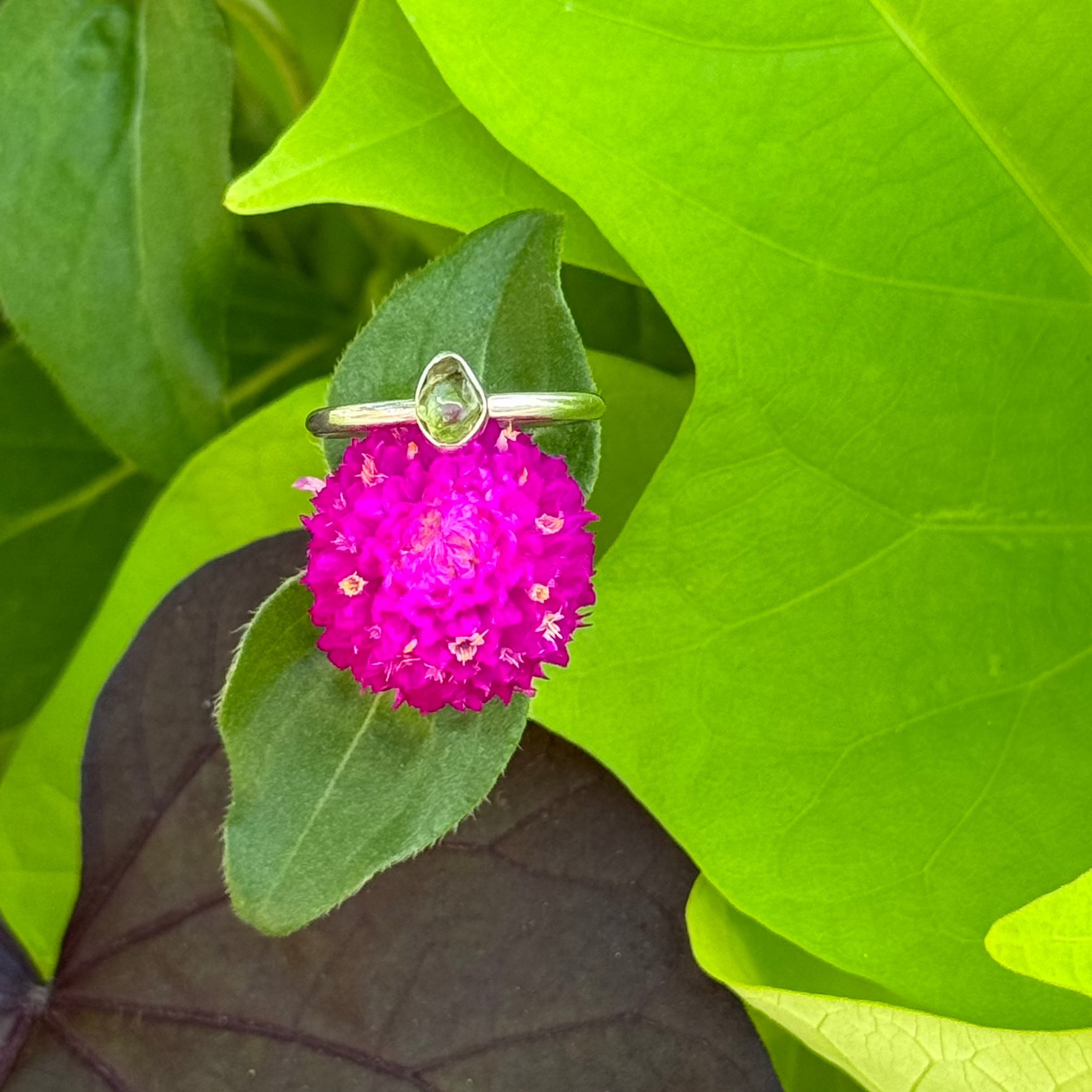 Freeform Peridot Ring in Sterling Silver