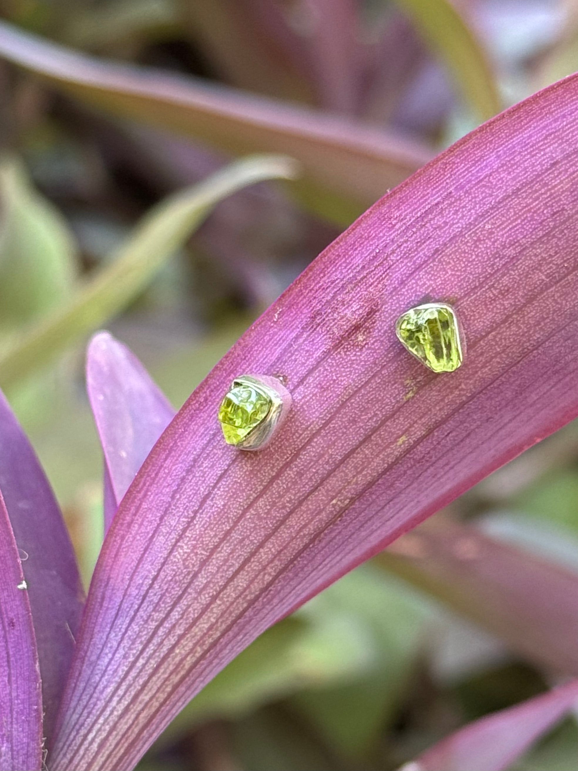 Freeform Peridot Stud Earrings in Sterling Silver