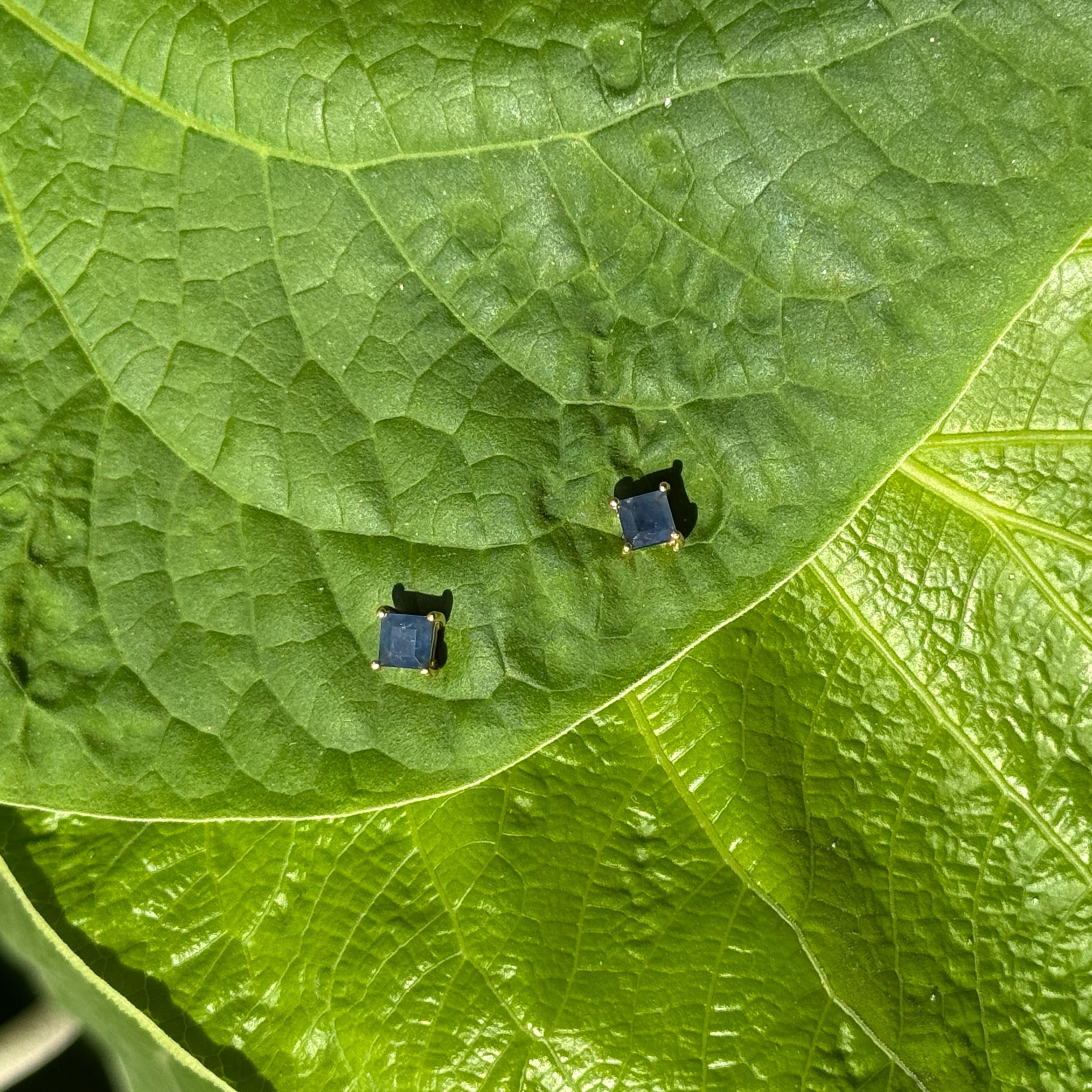 Princess Cut Blue Sapphire Stud Earrings in Vermeil