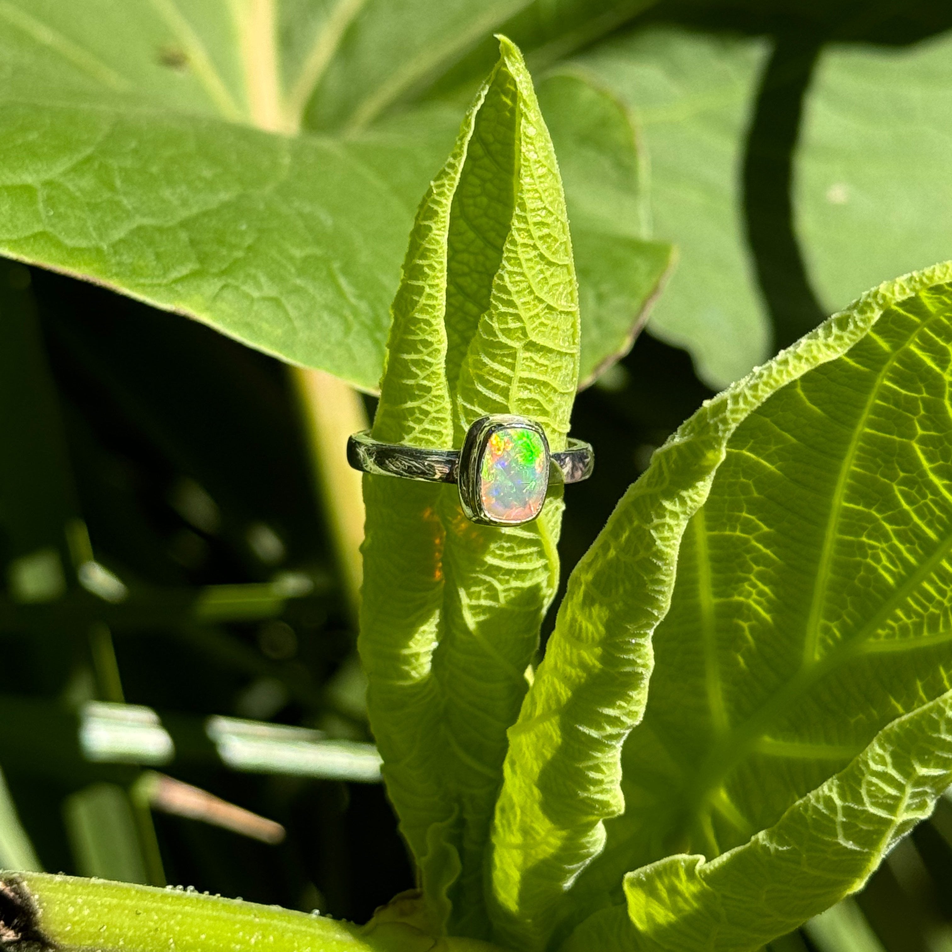 Rectangle Ethiopian Opal Ring in Sterling